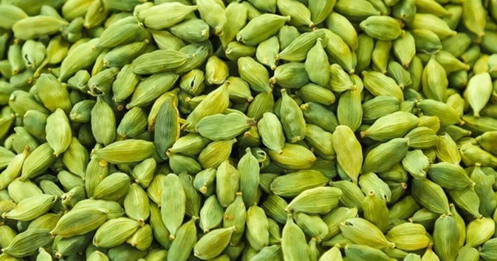 জানা যাক এলাচের উপকারিতা ও গুণাগুণ